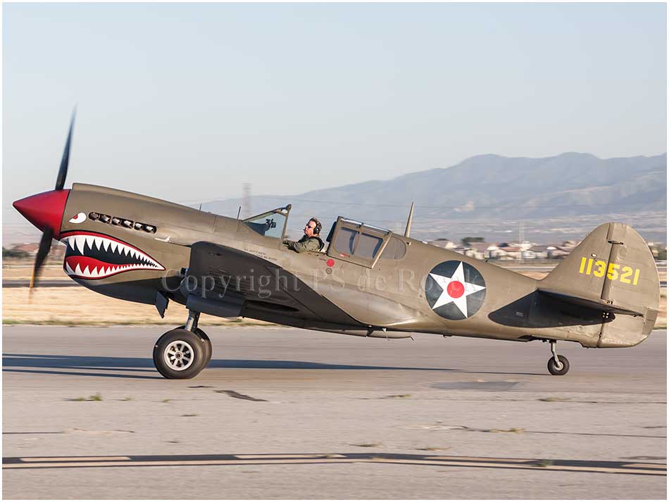 Curtiss P40 Warhawk 113521